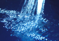 Montefelcino: interruzione servizio acqua per pulizia serbatoi